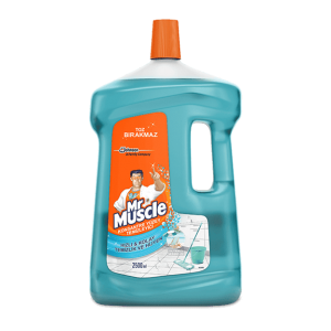 Mr. Muscle Concentrated Surface Cleaner 2500 ml 