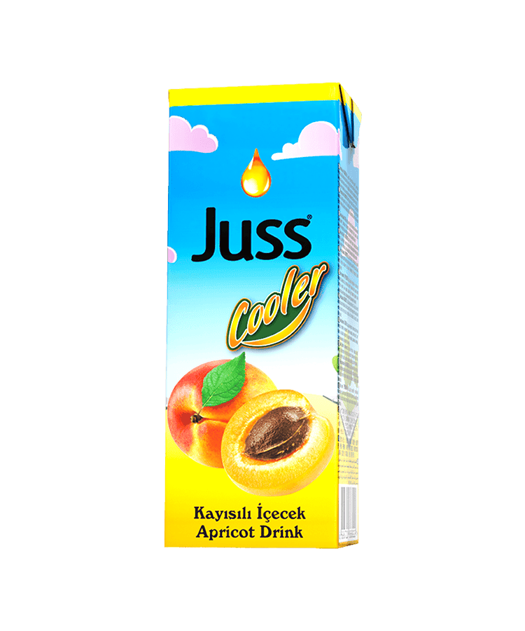 Juss Cooler Kayısı İçecek 200 Ml